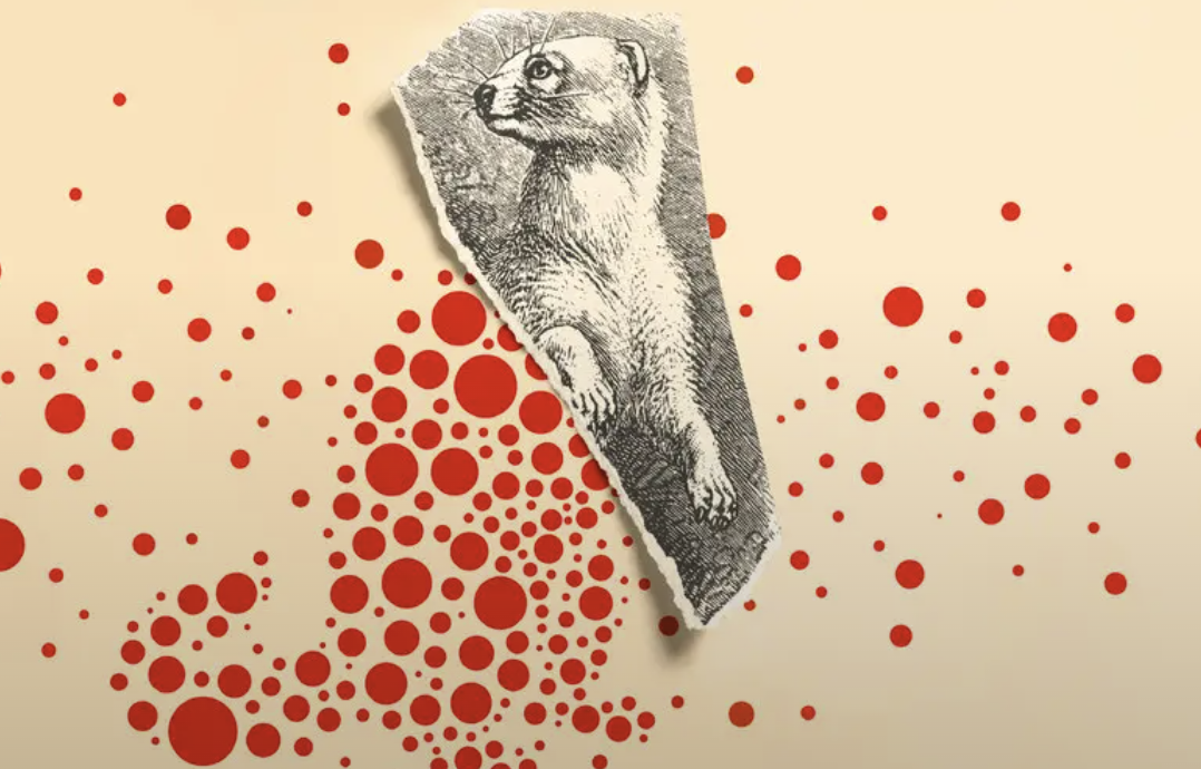 Screenshot 2026-02-19 at 3.14